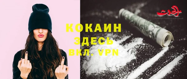 дживик Богданович