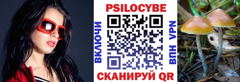 наркота  сайты даркнета какой сайт  Псилоцибиновые грибы MAGIC MUSHROOMS  Будённовск 