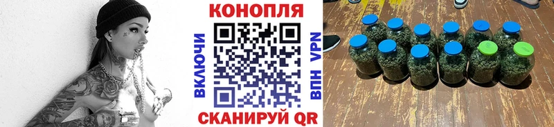 Шишки марихуана SATIVA & INDICA  закладка  Будённовск 